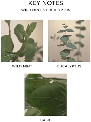 NEST New York Reed Diffuser Oil Wild Mint Eucalyptus 59 Fl Oz