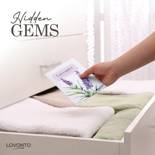 Lovonto 6 Pack Scented Sachet Bags for Home and Car