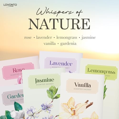 Lovonto 6 Pack Scented Sachet Bags for Home and Car