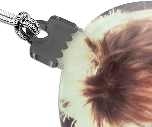 GRAPHICS AND MORE Labyrinth Goblin King Crystal Ball Acrylic Ornament