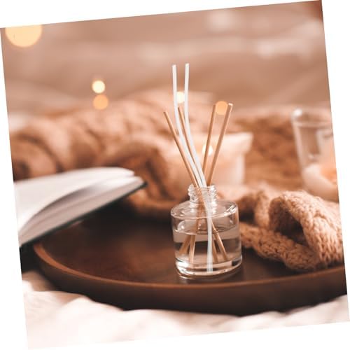 Hemoton Reed Diffuser Sticks 100pcs Set