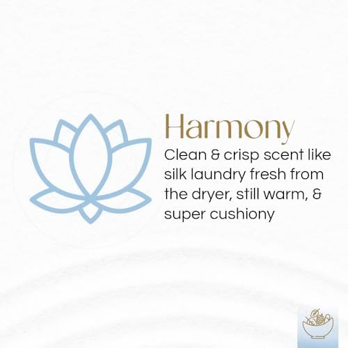Gonesh Potpourri Harmony Scent 12 oz Gift Box