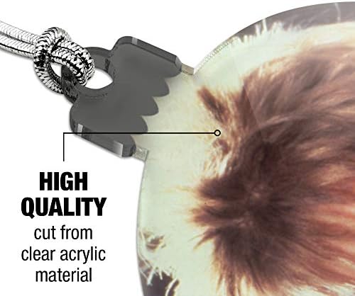 GRAPHICS AND MORE Labyrinth Goblin King Crystal Ball Acrylic Ornament