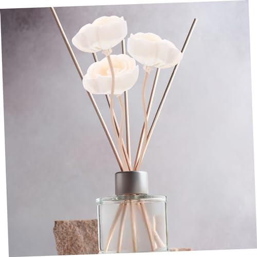 Kichvoe 10pcs Aromatherapy Diffuser Sticks