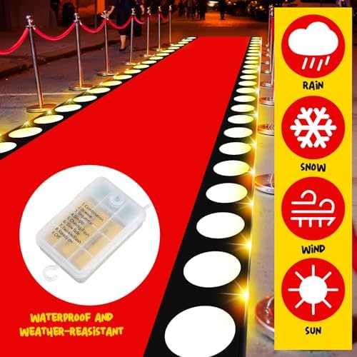 2 x 30 Ft Red Carpet with LED Light for Movie Night