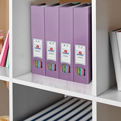 Acrimet Magazine File Holder 2 Pack Solid Purple