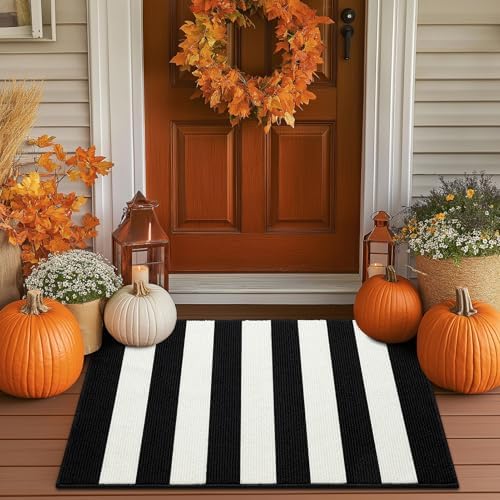 Timo Black and White Striped Entryway Door Mat 20x32