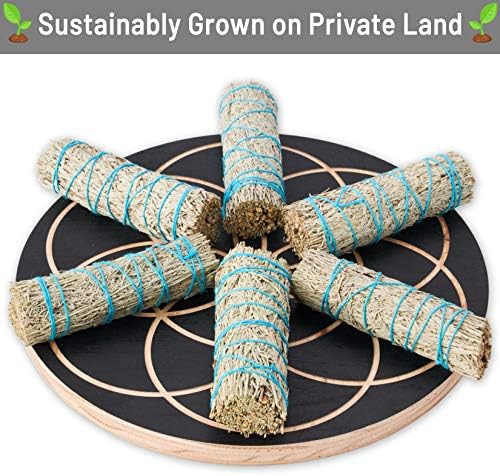 Blue Sage Smudge Sticks 4 Inch Smudging Wands Wholesale Bulk Sage Kit
