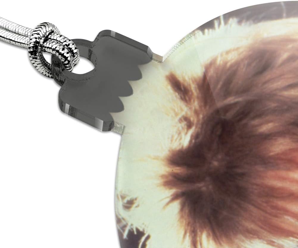 GRAPHICS AND MORE Labyrinth Goblin King Crystal Ball Acrylic Ornament