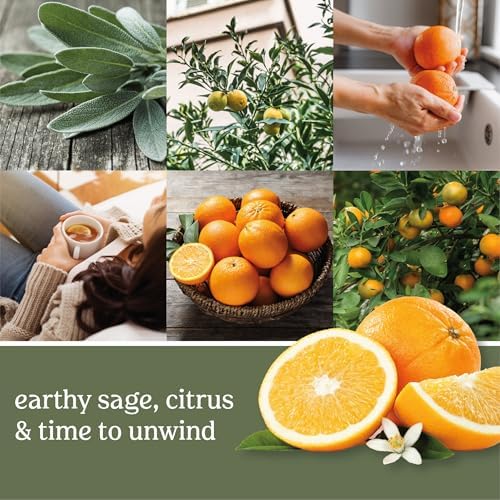 Yankee Candle ScentPlug Refill Sage Citrus 1 CT Pack of 4