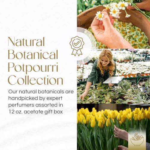Gonesh Potpourri Harmony Scent 12 oz Gift Box