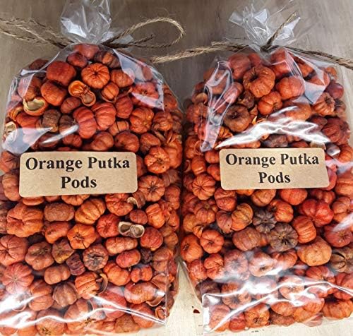 SEEPER On The Bright Side Mini Orange Pumpkin Potpourri Bowl Fillers 8 Cups