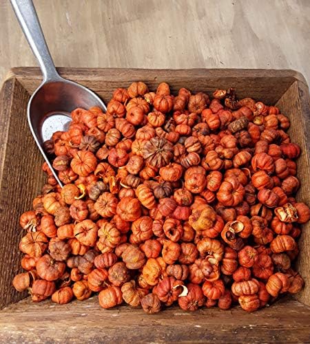 SEEPER On The Bright Side Mini Orange Pumpkin Potpourri Bowl Fillers 8 Cups