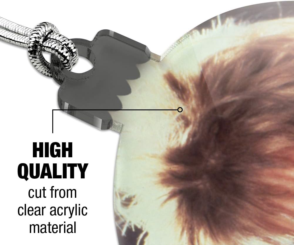 GRAPHICS AND MORE Labyrinth Goblin King Crystal Ball Acrylic Ornament