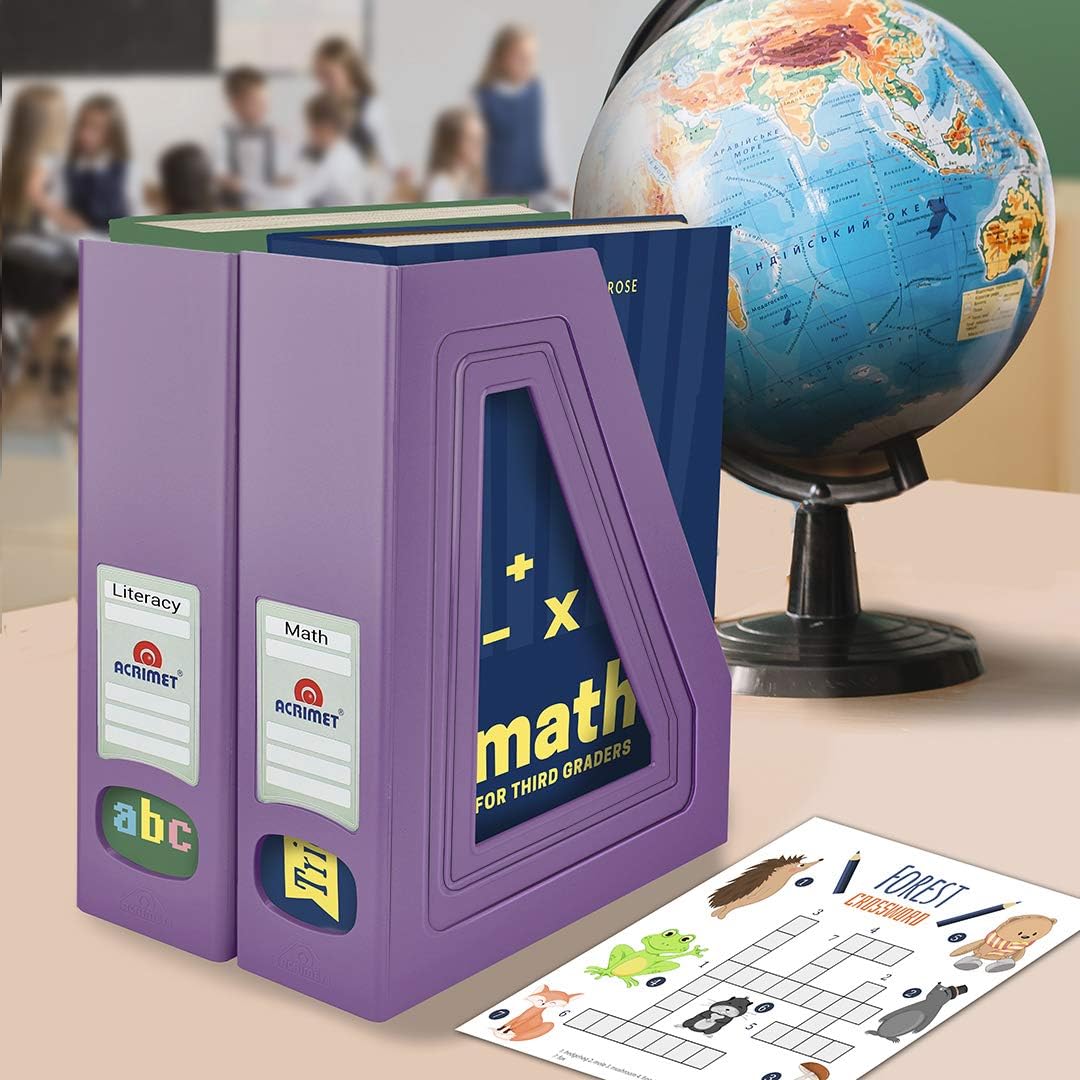 Acrimet Magazine File Holder 2 Pack Solid Purple
