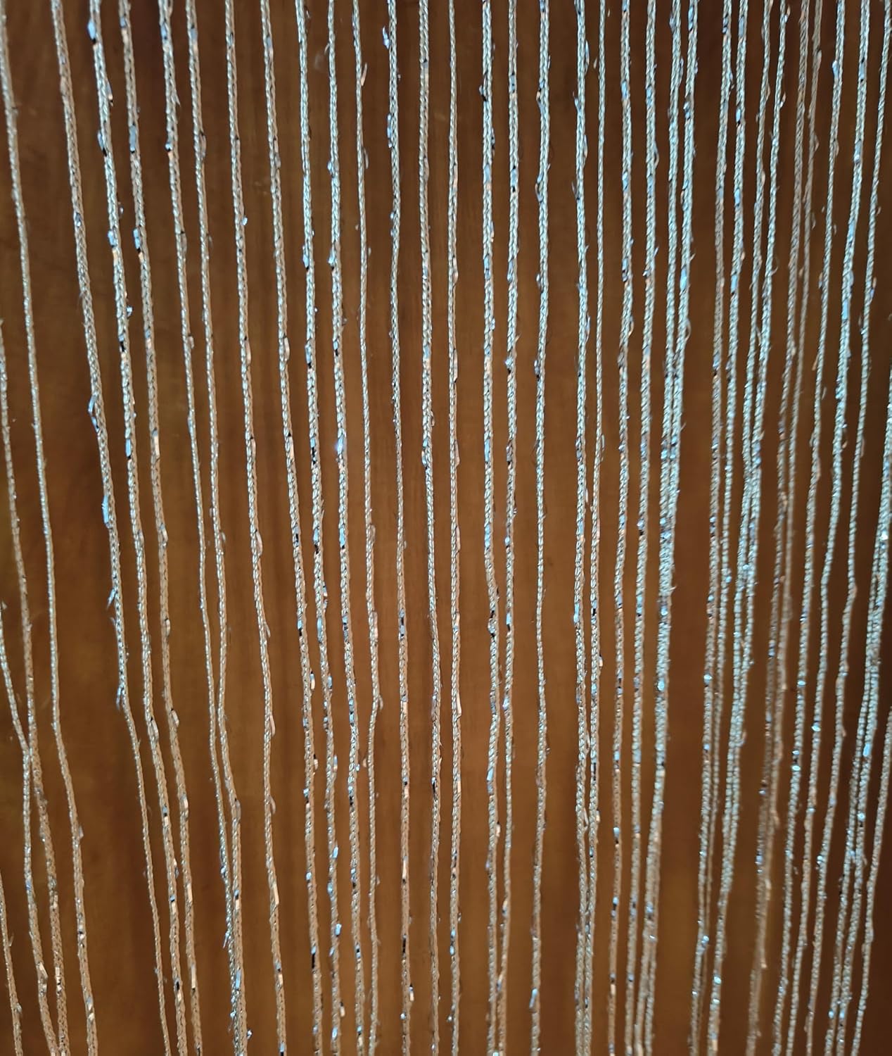 2PCS 39x79inch Glitter String Curtain Doorway Decor