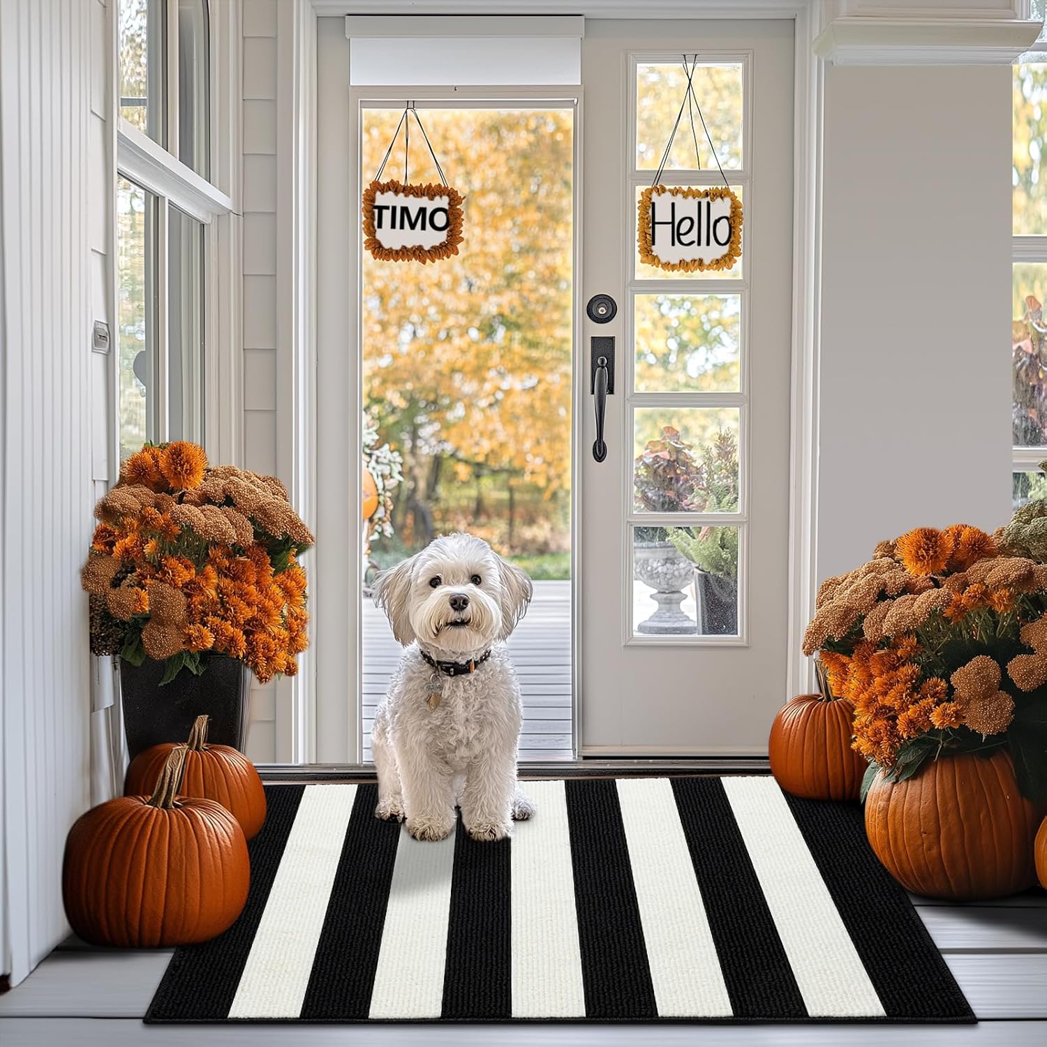 Timo Black and White Striped Entryway Door Mat 20x32