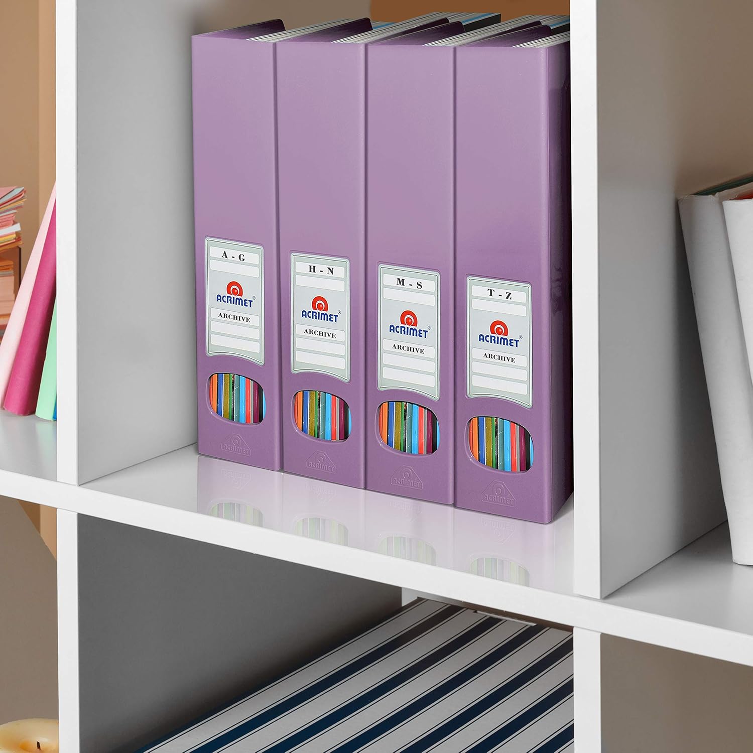 Acrimet Magazine File Holder 2 Pack Solid Purple
