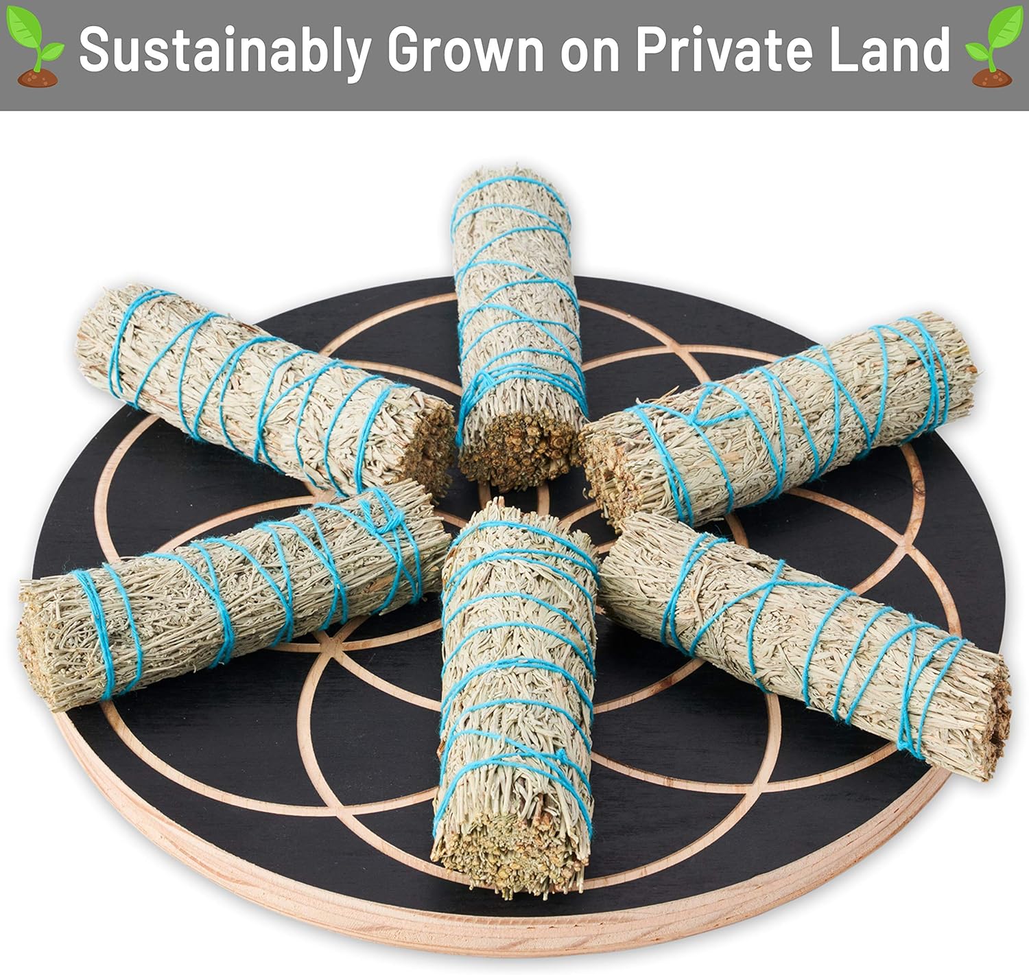 Blue Sage Smudge Sticks 4 Inch Smudging Wands Wholesale Bulk Sage Kit
